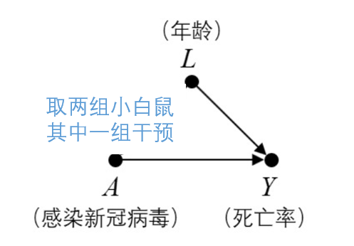 干预